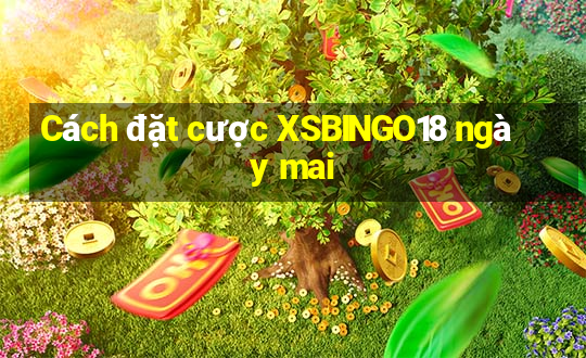 Cách đặt cược XSBINGO18 ngày mai