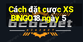 Cách đặt cược XSBINGO18 ngày 5