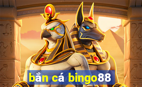 bắn cá bingo88