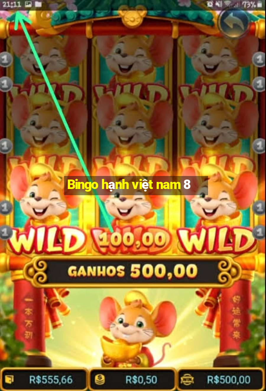 Bingo hạnh việt nam 8