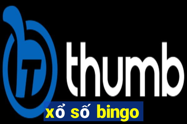 xổ số bingo