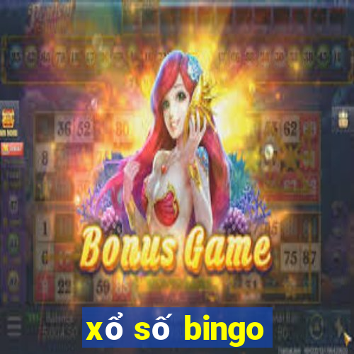 xổ số bingo