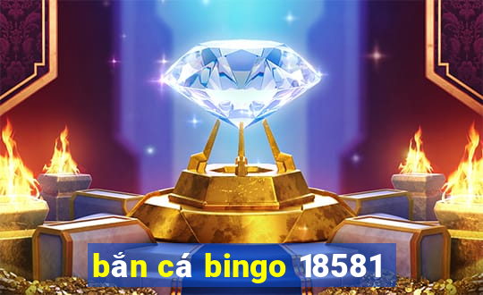 bắn cá bingo 18581