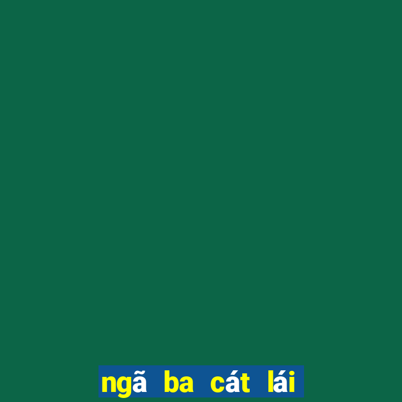 ngã ba cát lái google map