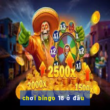 chơi bingo 18 ở đâu