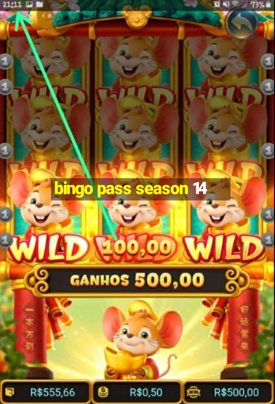 bingo pass season 14