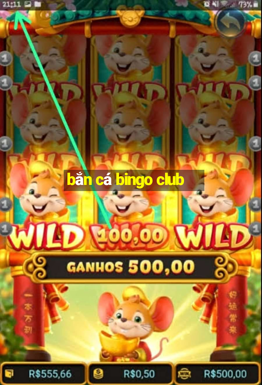 bắn cá bingo club