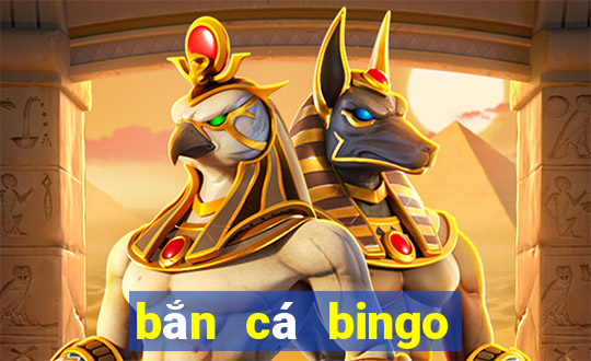 bắn cá bingo 777 club