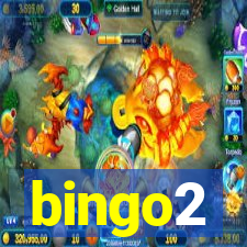 bingo2